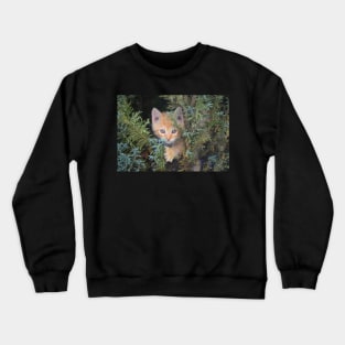 Cat in the Christmas Tree Crewneck Sweatshirt